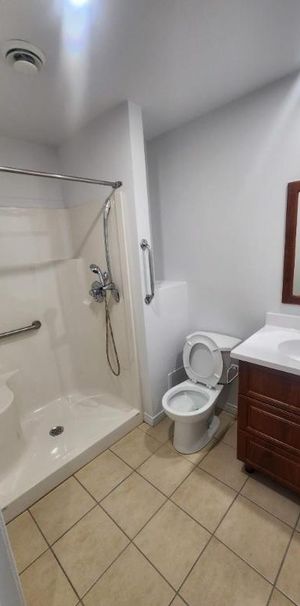 1 CH - 1 SDB - Montréal - $1,195 /mo - Photo 1