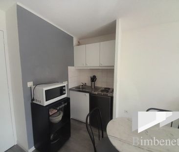 Appartement à louer, 1 pièce - Olivet 45160 - Photo 5