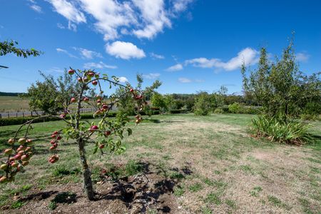 Amazing Rural Views! Reporoa - Photo 2