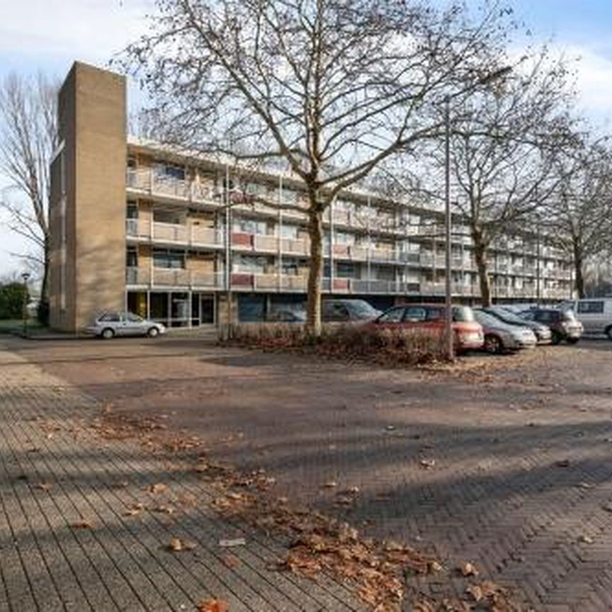 Valkhofplein 6825 GN Arnhem - Photo 1