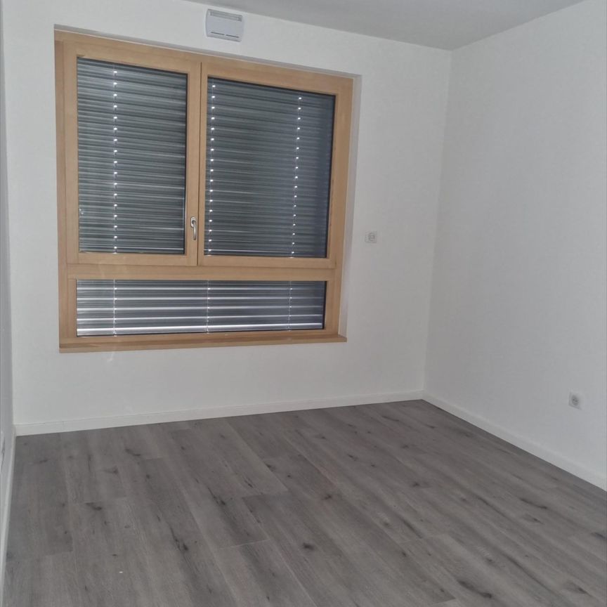 Location Appartement 43 M² SAINT-LOUIS 890 € - Photo 1