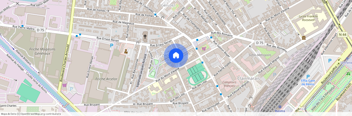 122 RUE DU MONT D'ARENE, 51100, Reims