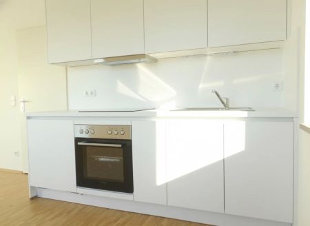 Garconniere sonnig,ruhig, AllgGarten nahe CITY PARK - Photo 3