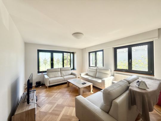 Location Appartement 1 pièce 15m² MITTELHAUSBERGEN 67206 - Photo 1