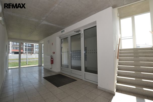 Pronájem bytu 2+kk v osobním vlastnictví 59 m², Plzeň - Fotografie 1