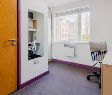 Gold En-Suite - Photo 3