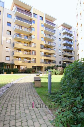 Wynajmę dużą kawalerkę typu studio, Ursynów, Metro - Zdjęcie 4