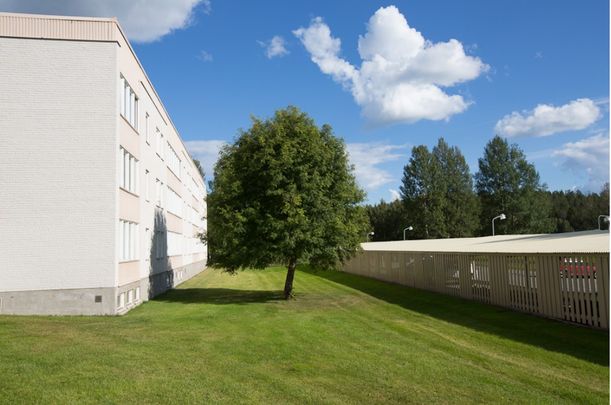 Dirigentvägen, Skellefteå - Foto 1