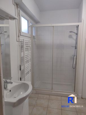 Location Appartement 1 pièce 29m² GRENOBLE 38100 - Photo 1