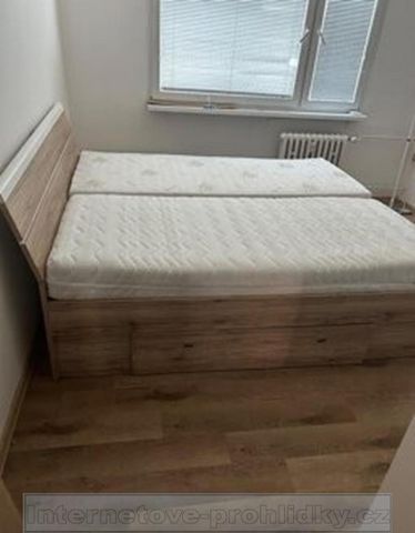 Pronájem bytu 1+kk 19 m2 - Fotografie 2