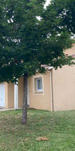 Location Maison 4 pièces 81m² BRESSOLS 82710 - Photo 3