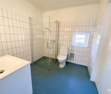 Dejlig lys og hyggelig 2-værelses lejlighed - Photo 4