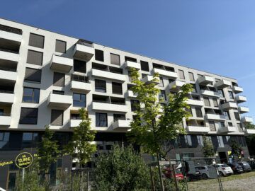 Frühlingserwachen - Foto 4