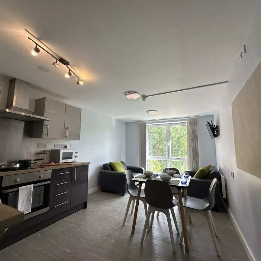 Silver Studio - Photo 1