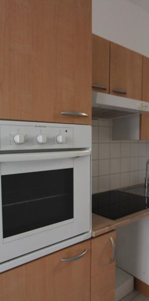 Location Appartement 1 pièce 16m² NANTES 44000 - Photo 1