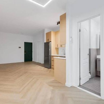 Large Renovated Studio in the Heart of the Plateau - Lease Transfer - Photo 4