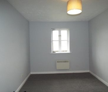 Redwood Grove - Photo 4