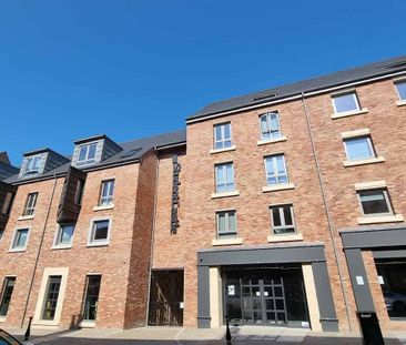 Hardy Studio - Photo 6