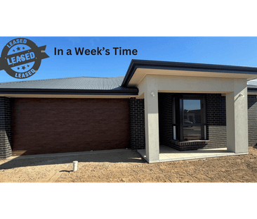 Modern 4-Bedroom Rental Home in Riverlea Park - Photo 5