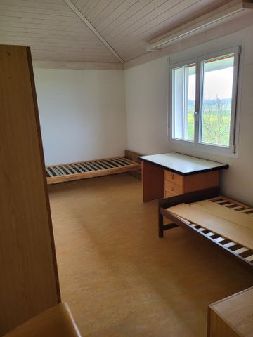5.5 Zimmerwohnung im 1.Stock in Montets - Foto 4