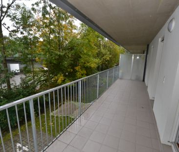 Jakomini – 56 m² – 3 Zimmer – WG geeignet – großer Balkon - Photo 1