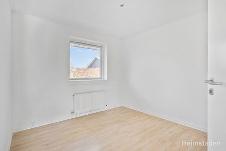 Attraktivt 1-plans rækkehus i Holluf Pile med egen have og parkering - Photo 5