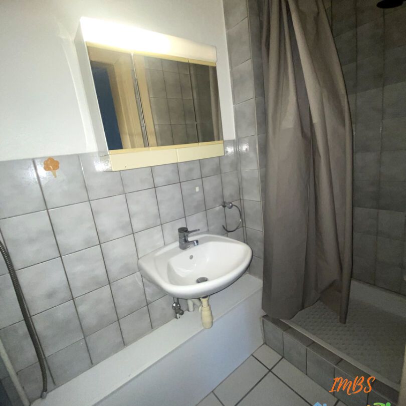 Appartement à louer à Brunstatt Didenheim - Photo 1