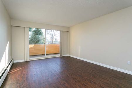 The Westport Apartments - 1 Bedroom - Photo 3
