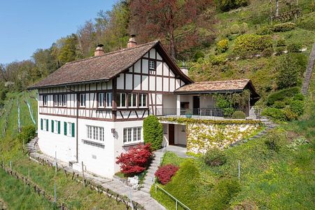 Idyllisches Einfamilienhaus inmitten Weinreben - Photo 5