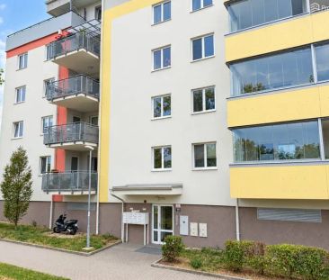 Pronájem bytu 1+kk 35 m - Fotografie 3