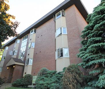 9 Gordon - 60 Bonaccord - Photo 3