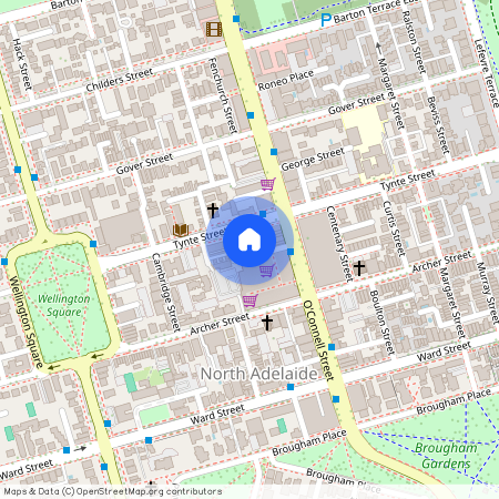 22 Chapel Street, North Adelaide SA 5006