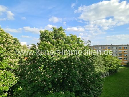 Attraktive 2-Raum-Wohnung mit Balkon und Fahrstuhl in guter Wohnlage von Halle-S ... - Photo 5