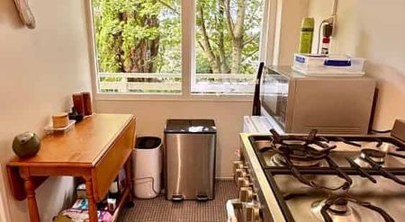 This beauty is such a cutie - Photo 4