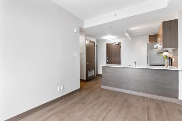 169 Lisgar St. — 1 Bedroom - Photo 1