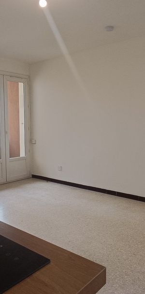 Location Appartement 1 pièce 21m² MONTPELLIER 34090 - Photo 1