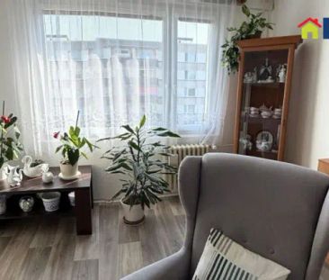 Pronájem bytu 2+1 s balkonem a sklepem, Formánkova ulice, HK - Photo 4