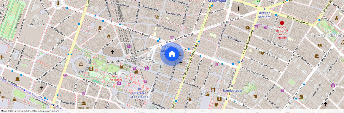 Rue du Cygne, entre Boulevard de Sebastopol et Rue Pierre Lescot 75001 Paris (1er arrondissement)