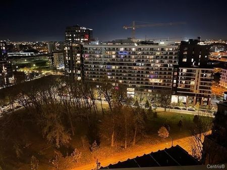 Appartement à louer - Montréal (Le Sud-Ouest) (Griffintown) - Photo 4