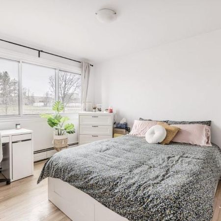 Appartement 3 ½ à louer Sainte-Foy / Sillery juillet 2026 - Photo 4