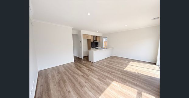 Brand new Stylish and Spacious 4 Bedroom Home - Photo 1