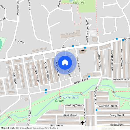 Hamsterley Street, Darlington