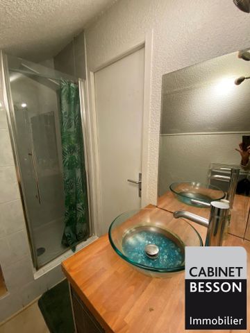 Location Appartement 1 pièce 25m² GRENOBLE 38000 - Photo 2