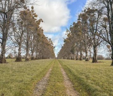 3 bedroom character property to rent - Photo 4