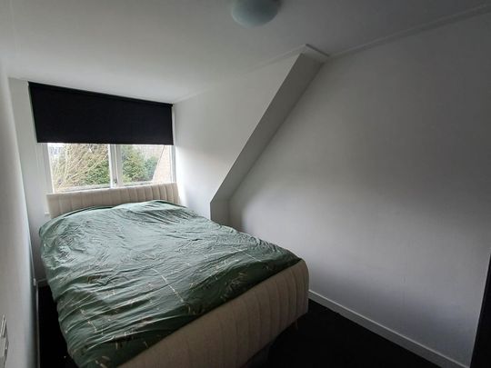 Te huur: Huis Tuinen 23 in Franeker - Foto 1