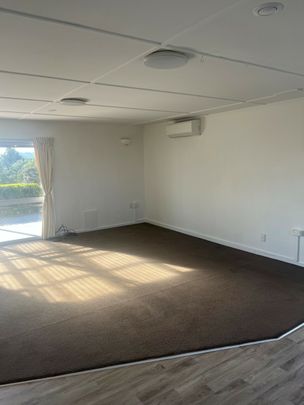 THE PERFECT SOLO PAD FOR SPRING - Photo 1