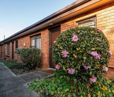 Conveniently Located One-Bedroom Flat - Photo 2