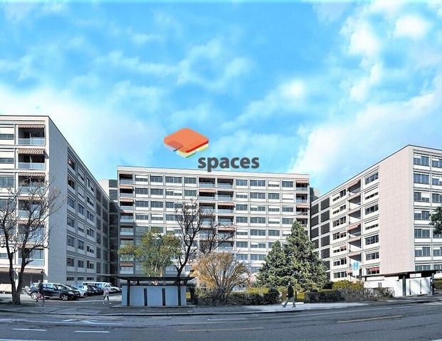 Malagnou - Champel - Foto 1