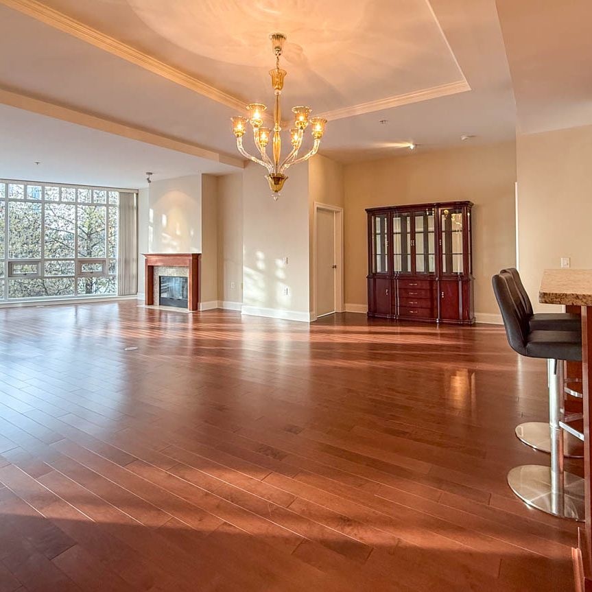 Luxury Spacious 2 bedroom plus den - Photo 1