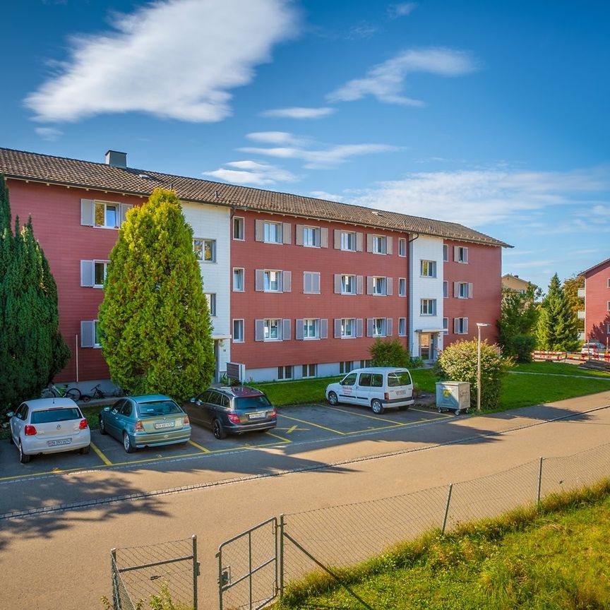 Rent a 3 rooms apartment in Kempten-Wetzikon - Photo 1